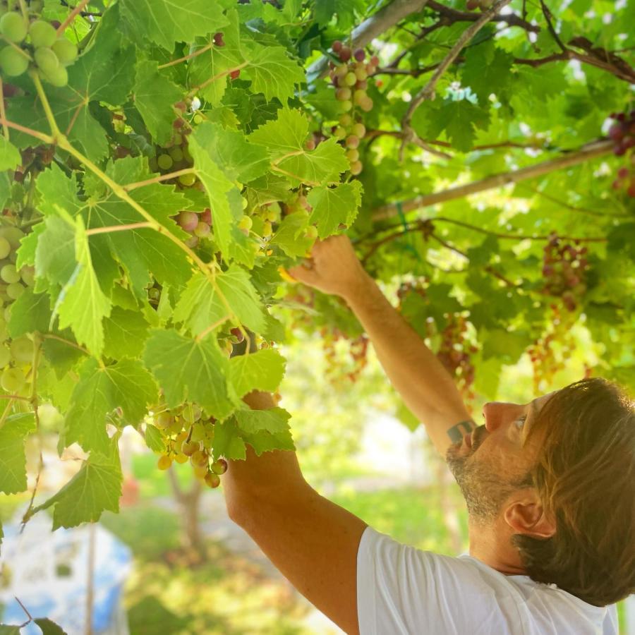 Masseria Vittoria 아카야 외부 사진