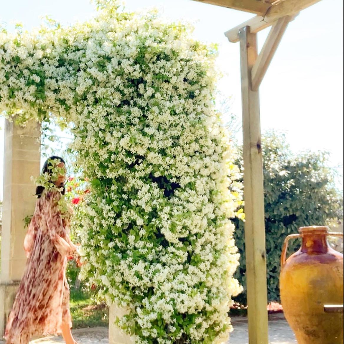 Masseria Vittoria 아카야 외부 사진
