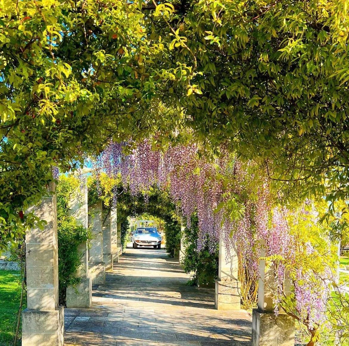 Masseria Vittoria 아카야 외부 사진