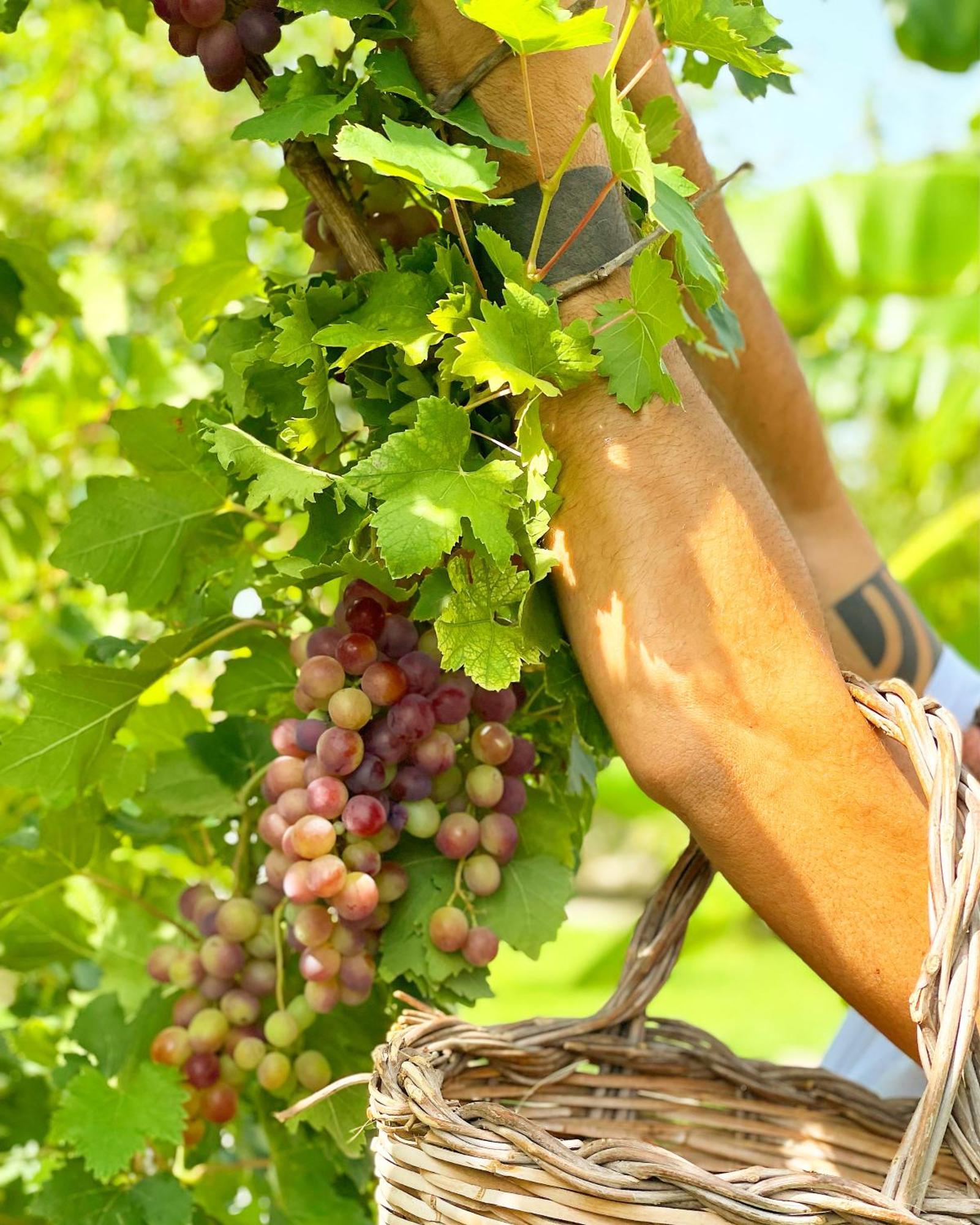 Masseria Vittoria 아카야 외부 사진